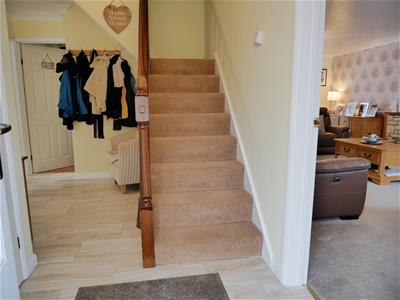 Picture 14